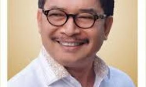 DPD RI Asal Sulawesi Tenggara Sepekat Provinsi Kepton Ikut di Mekarkan Bersama Papua