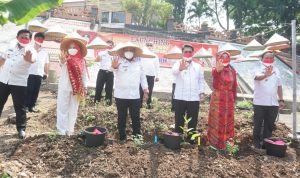 Kebun Edukasi Sudah Tiga Kali Produksi Buah Melon Selama Pandemi