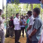Wali Kota Kendari Serahkan Bantuan Bibit Cengkeh pada Petani di Watulondo