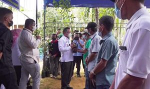 Wali Kota Kendari Serahkan Bantuan Bibit Cengkeh pada Petani di Watulondo