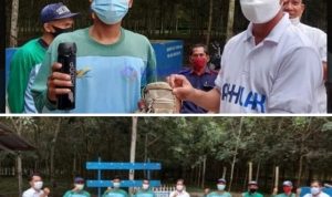 Alhamdulillah, PTPN III Kebun Sei Dadap Mendapat Terbaik Satu SePTPN III Untuk TM Karet