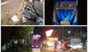 Pengendara Motor Tewas Tertimpa Pohon Tumbang di Kedungturi