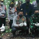 Kapolda Sulut Lepasliarkan Anak Burung Maleo di TN Bogani Nani Wartabone