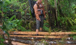 Tim Ekspedisi Temukan Banyak Penebangan Pohon di Gunung Manimporok