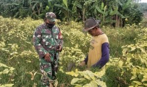 Jajaran Satgas Subsektor 06/Muaragembong Bersama Warga Bersihkan Sungai Citarum