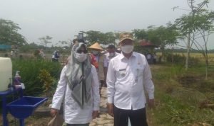 Tim Pelaksana Lapangan dan Dinas Pertanian Memberikan Penyuluhan ke Petani