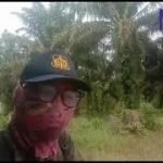 Musim Panas Berdebu, Musim Hujan Berlumpur