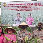 Kapolres Minahasa Bersama Bhayangkari Kelola Lahan Pertanian Tunjang PEN