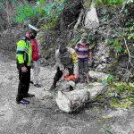 Salut! Gerak Cepat Anggota Polres Minahasa, BPBD dan Masyarakat Atasi Pohon Tumbang