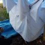 IMG 20220115 WA0026 800x445 1