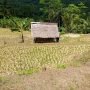 IMG 20220125 WA0003