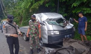 Pohon Tumbang, Babinsa Koramil 1302-17/Motoling Bantu Evakuasi Korban