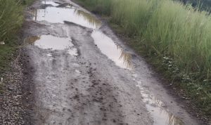 Jalan Kabupaten Serang di Desa Walikukun Rusak Parah, Warga Harap Ada Perbaikan