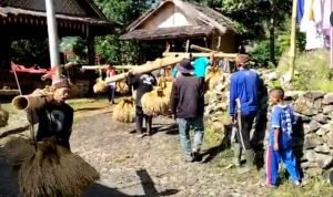 Desa Sindanglaya  Laksanakan Budaya  Ngarengkong