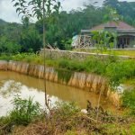 Embung Terbengkalai  Diduga Tanpa Pemeliharaan Dari Pihak Desa 