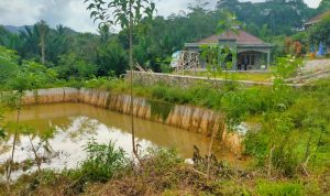 Embung Terbengkalai  Diduga Tanpa Pemeliharaan Dari Pihak Desa 