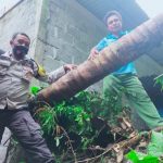 Bripka Binhur Muhede Bersama Warga Karejo Bersihkan Sisa Bencana di Lembeh