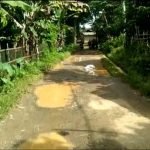 Kerusakan Jalan Poros Desa Pasirbitung Di Keluhkan Mayarakat 