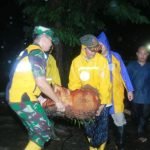 Bersama Walikota, Dandim 0418/Palembang Turun Langsung Evakuasi Pohon Tumbang di Jalan Merdeka