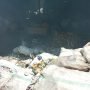 IMG 20220407 WA0080