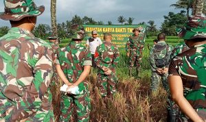 Desa Babakan Rampungkan Jalan Usaha Tani