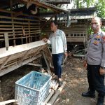 Polsek Ciruas Polres Serang Laksanakan Sambang Monitoring Hewan Ternak