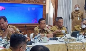 Ada Beberapa Tuntutan, Perwakilan Kades Audensi Dengan Bupati