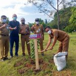 DLHK dan PT Doulton Bersama-sama Tanam 100 Pohon