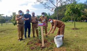 DLHK dan PT Doulton Bersama-sama Tanam 100 Pohon