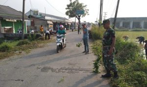 Rumput Liar di Jalan Kabupaten Serang, Camat Carenang Inisasi Adakan Gotong Royong