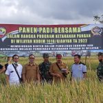 Kodim 1616/Gianyar Panen Padi Bersama