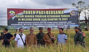 Kodim 1616/Gianyar Panen Padi Bersama