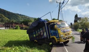 Truk Bermuatan Batu Alam “Nyungsep” ke Sawah