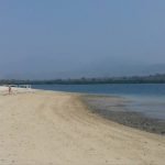 Made Suwija Tegaskan Tak Ada Aset Pemkab Buleleng Di Batu Ampar