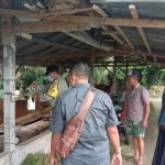 Antisipasi Penyebaran PMK Polsek Tabanan Awasi RPH