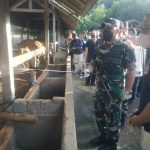 Vaksinasi PMK Mulai Disuntikan Terhadap Hewan Ternak di Gianyar