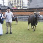 Kapolda Bali Serahkan Sapi Qurban di Hari Raya Idul Adha 1443 H