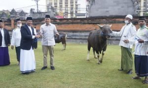Kapolda Bali Serahkan Sapi Qurban di Hari Raya Idul Adha 1443 H