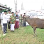 Pj. Bupati Tebo Aspan Serahkan 7 Hewan Korban