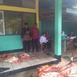 Rayakan Idul Adha 1443 H, Alumni SMPN 1 VII Koto Sungai Sariak Sembelih Satu Ekor Sapi