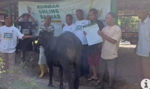 Anggota Komisi VIII DPR RI H.Jhon Kenedy Azis Salurkan Hewan Qurban Dari BAZNAS RI