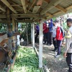 Kapolres Klungkung Tinjau Kegiatan Vaksinasi PMK di Banjarangkan 