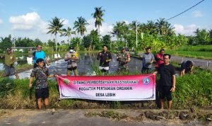 Babinsa Koramil 1616-01/Gianyar Hadiri Kegiatan Pola Penanaman Padi Organik
