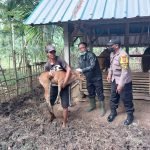 Bhabinkamtibmas Polsek Kediri Lakukan Pendampingan Suntik Vaksin PMK 