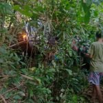 Diduga Depresi, Mobil Terjun Bebas ke Jurang