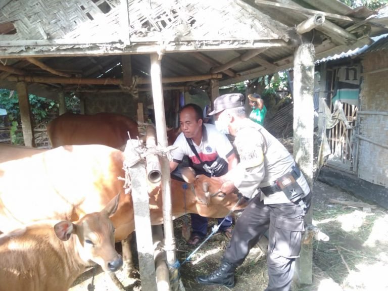 Bhabinkmatibmas Desa Satra Himbau Untuk Jaga Kebersihan