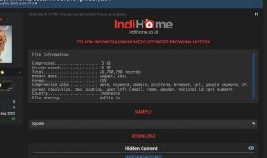 Kominfo Dalami Dugaan 26 Juta Data Pelanggan IndiHome Bocor