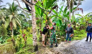 Pohon Tumbang, Babinsa Koramil 1616-06/Tegallalang Bereaksi Cepat 