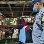 Bhabinkamtibmas Pantau vaksinasi 200 Ekor Sapi di Kecamatan Selat