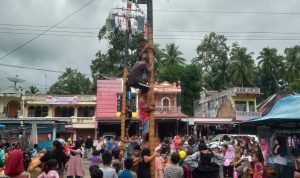 Meriahkan HUT RI ke-77 Korong Toboh Sikumbang Nagari Balah Aie Gelar Kegiatan Panjat Pinang